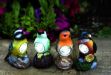 Picture of Birds Figurines (selection) Robin, Bluetit, Kingfisher or Woodpecker