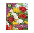 Picture of Freesia Double Flower Mixed Prepack