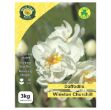Picture of Daffodil Double Sir Winston Churchill 3kg Pack