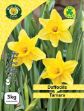 Picture of Daffodil Tamara 3kg Net