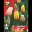Picture of Tulips Mixed Double 25 Pack 