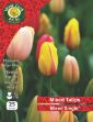 Picture of Mixed Single Tulips 25 Bulb Net