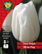 Picture of Tulip Single 'white Flag' 10 Bulbs