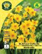 Picture of Daffodil Multiflower 'martinette' 5 Bulbs