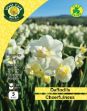 Picture of Daffodil 'cheerfulness' 5 Bulb