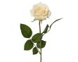 Picture of Cream Rose On Stem