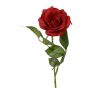 Picture of Red Rose On Stem