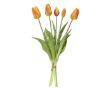 Picture of H40cm Tulip Orange