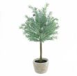 Picture of Y62.S45547 POTTED MINT TOPIARY TREE